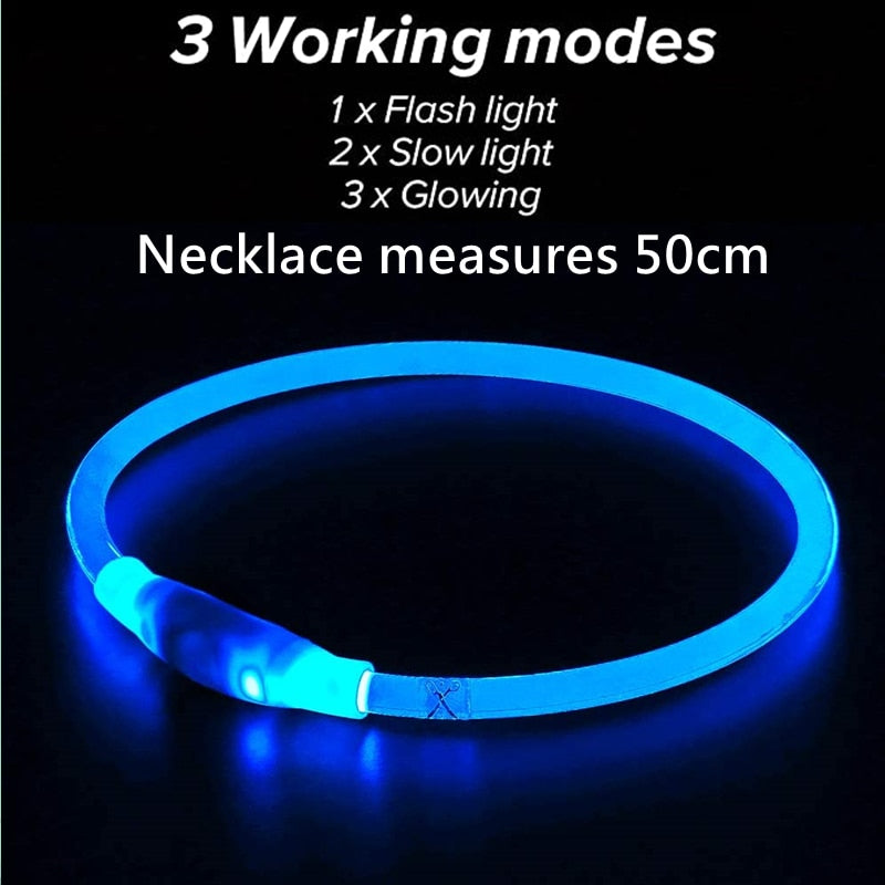 LED rechargeable light up collar