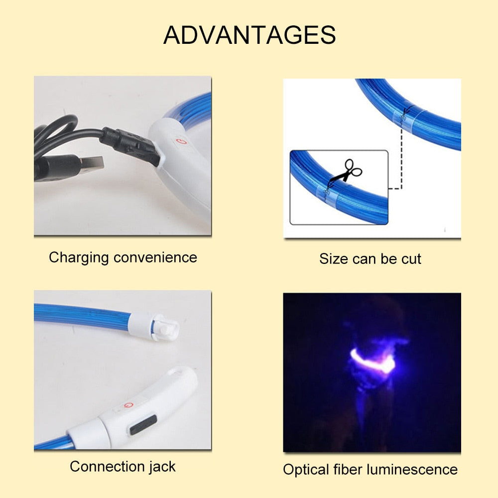 LED rechargeable light up collar